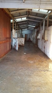 city stables interior